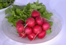 Программа «Жить здорово» от 20.05.2021: Вершки и корешки. Редис