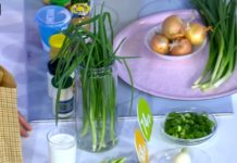 Программа «Жить здорово» от 2.06.2021: Если мужчина ест это… То в постели с ним хорошо!