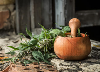 Травы спокойствия: спасет ли пустырник от тревоги?