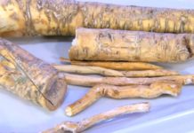 Программа «Жить здорово» от 16.09.2021: Вкусы России. Хрен