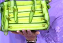 Программа «Жить здорово» от 21.09.2021: Самые полезные. Овощные сумки