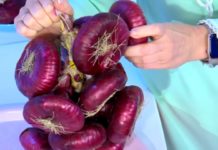 Программа «Жить здорово» от 30.09.2021: Вкусы России. Ялтинский лук