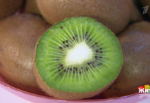 Программа «Жить здорово» от 11.10.2021: Еда после коронавируса. Тромбы