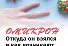 ОМИКРОН. Откуда он взялся и как возникают новые штаммы