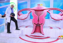 Программа «Жить здорово» от 01.12.2021: Случайная находка. Опухоль яичника