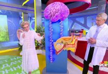 Программа «Жить здорово» от 13.05.2022: Билет на дачу. Позиционное головокружение