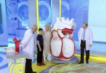 Программа «Жить здорово» от 15.06.2022: Сорванный ритм