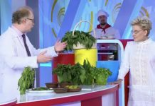 Программа «Жить здорово» от 04.07.2022: Вкусы России: крапива