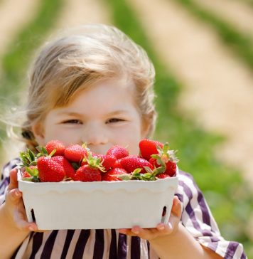 Подмосковная клубника