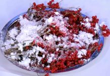 Программа «Жить здорово» от 14.11.2022: Ягоды на снегу. Калина