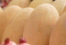 Программа «Жить здорово» от 12.09.2023: Узбекские дыни