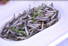 Программа «Жить здорово» от 12.12.2023: Анчоусы. Шнобелевская премия