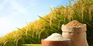 Рис — любимая крупа россиян