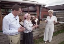 Программа «Жить здорово» от 23.07.2024: Неудачи на даче. Парное молоко