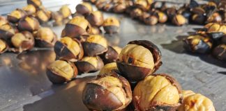 Съешьте это немедленно! Каштан