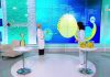 Программа «Здоровье» от 21.06.2026