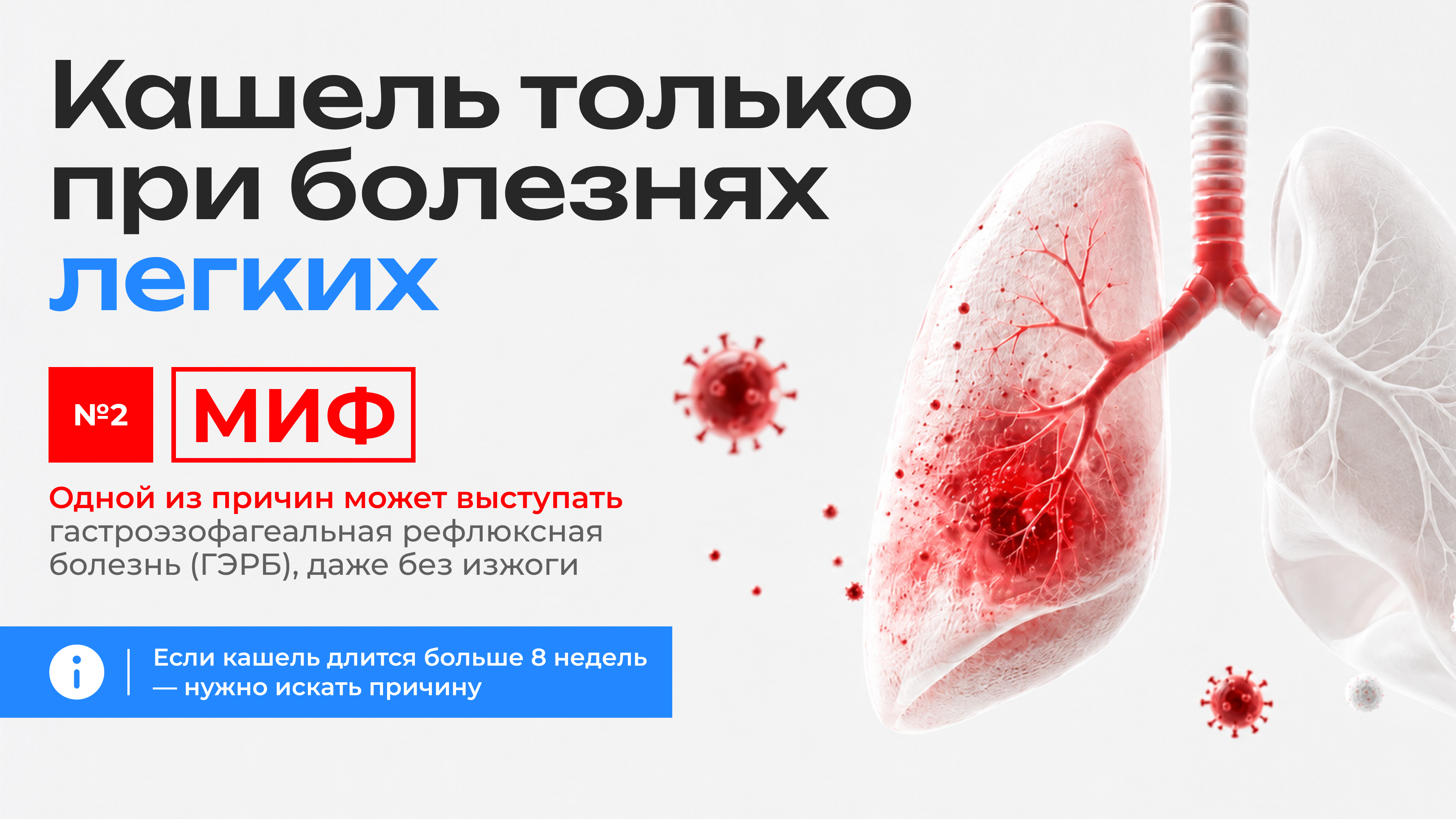 Миф 2: кашель бывает только при болезнях легких. Причиной кашля может быть гастроэзофагеальная рефлюксная болезнь.