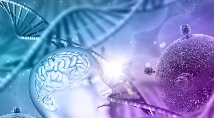 Гены решают всё? Какие генетические тесты действительно имеют смысл