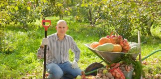 Собираем урожай без боли в спине: как правильно поднимать тяжести и что делать, если поясницу прихватило